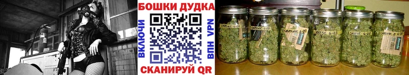 Каннабис гибрид Батайск
